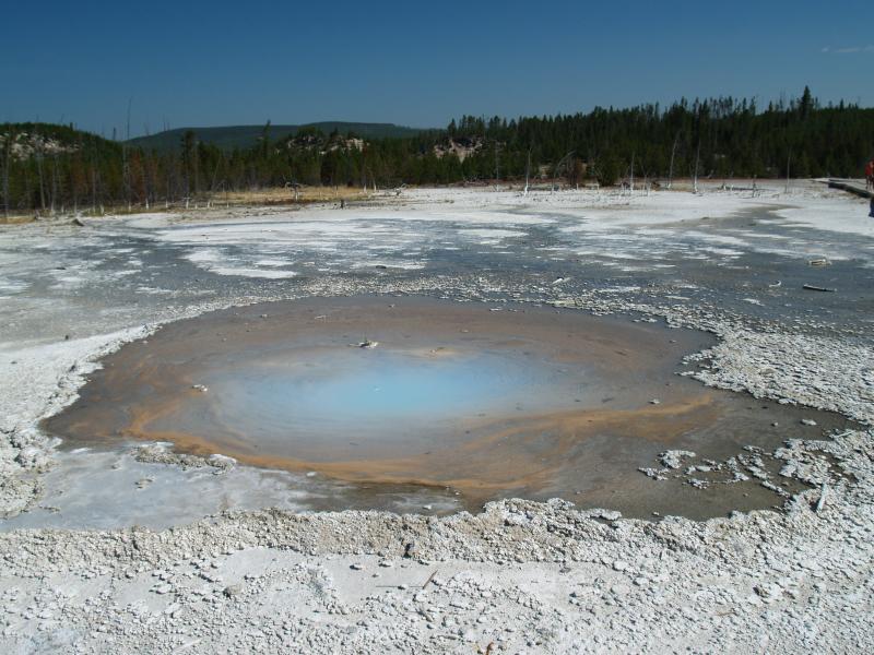 Mineral Pool Yellowstone Park