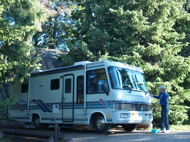 Bug removal at Island Lake National Forest Campground