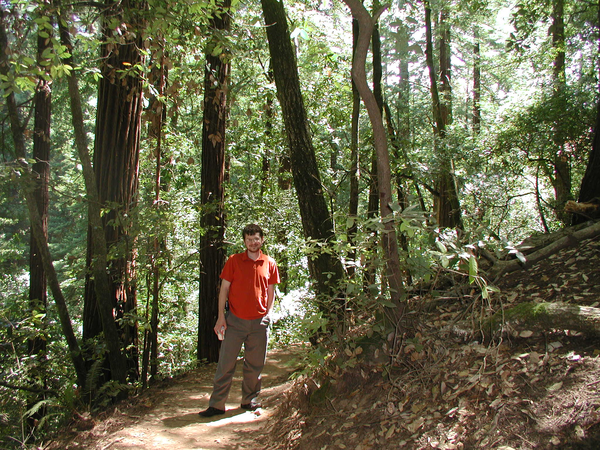 P7010025.jpg