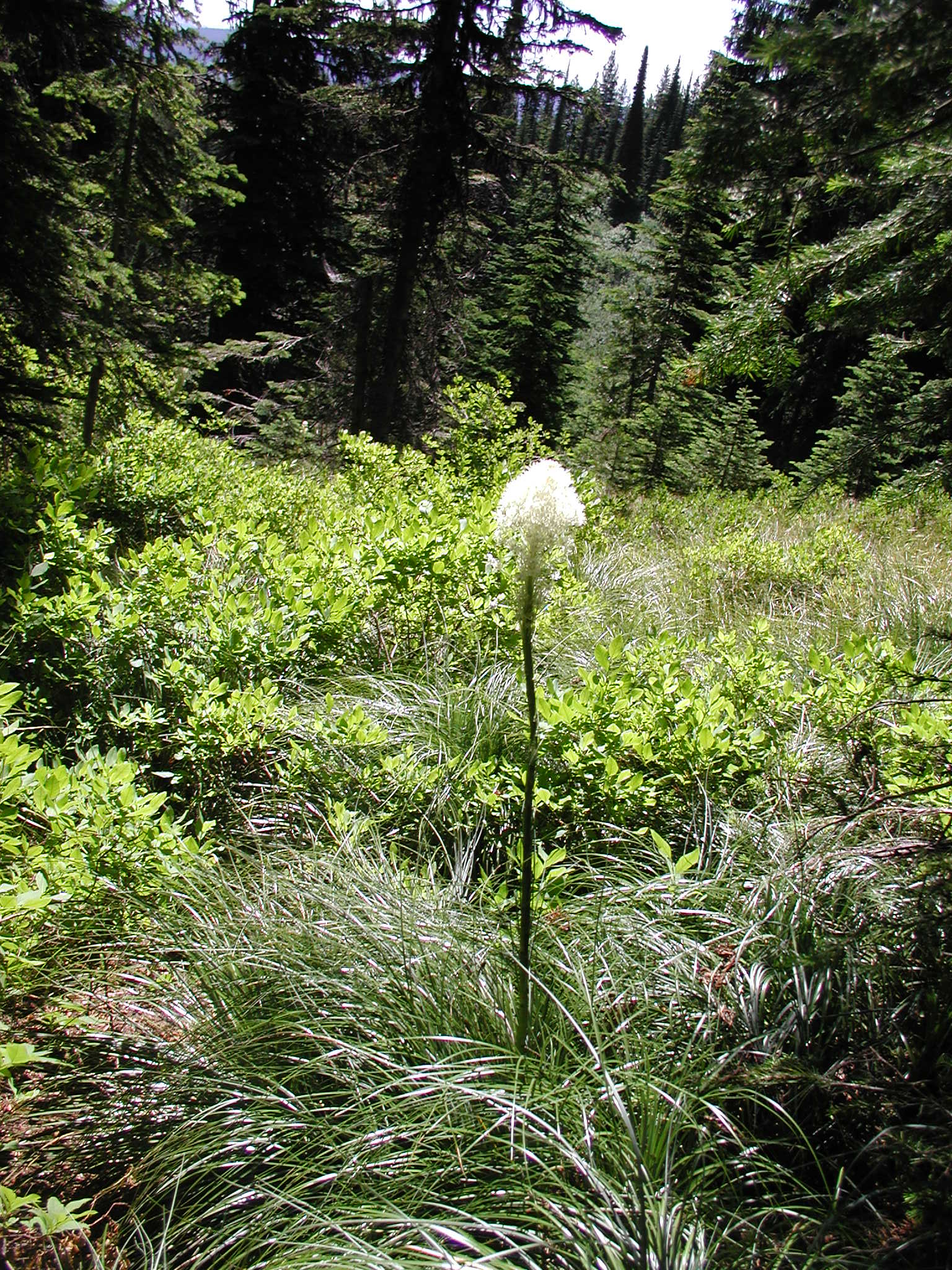 P7150019.jpg