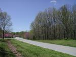 Spring 2003