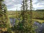 West Fork Campground, Dalton Hwy