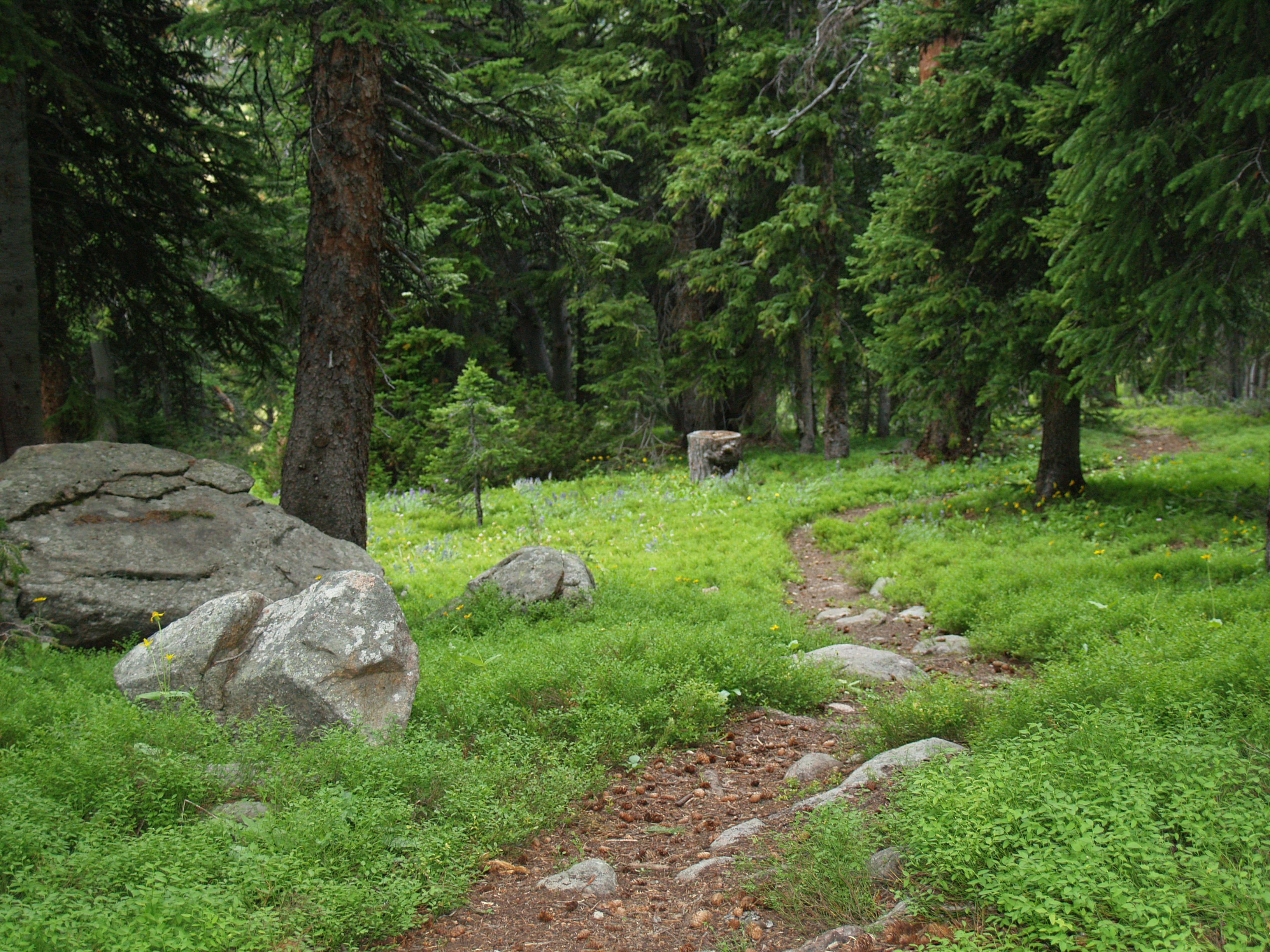 Walking path at Island Lake C.G.
