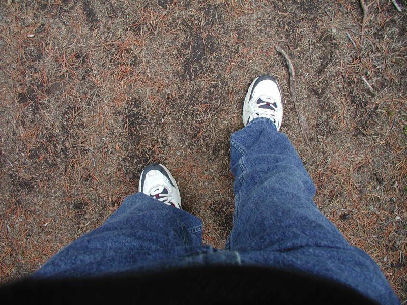 Me walking in the woods