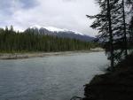 McLeod Meadows CG, Kootenay Nat'l Pk