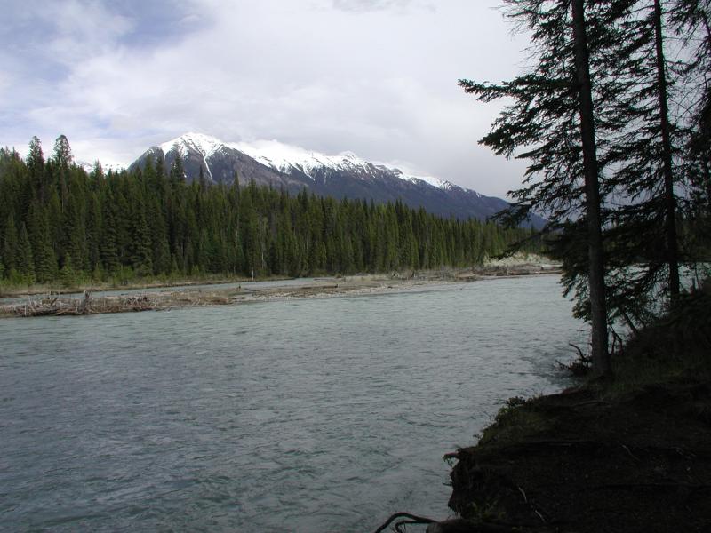McLeod Meadows CG, Kootenay Nat'l Pk