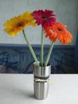 Bonnie's daisies (I think they're zinnias)