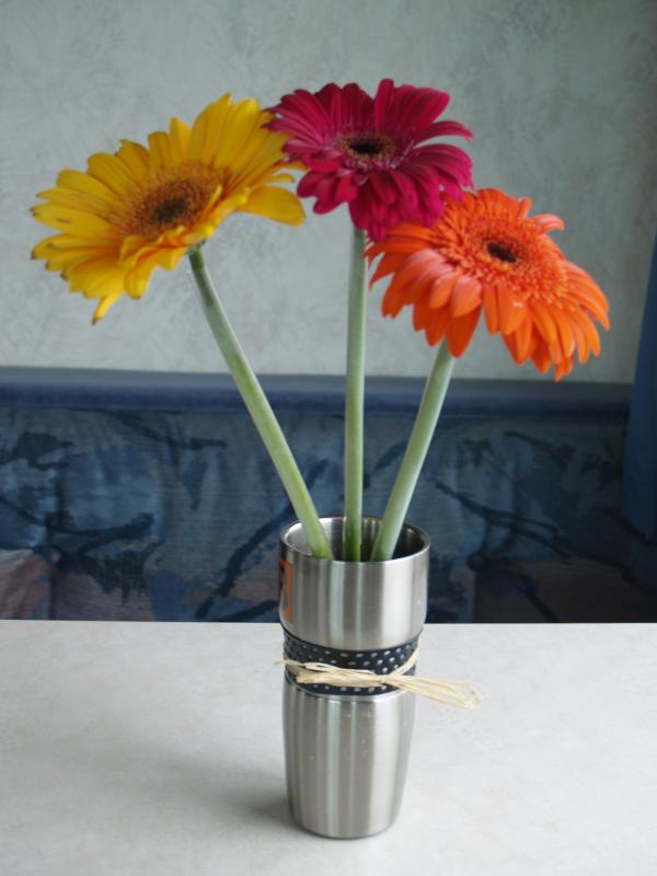 Bonnie's daisies (I think they're zinnias)