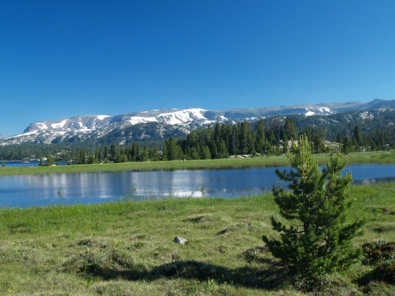 Island Lake view