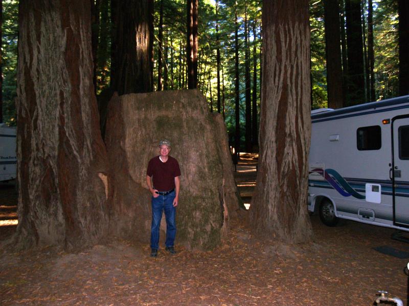 Bruce standing by a stump