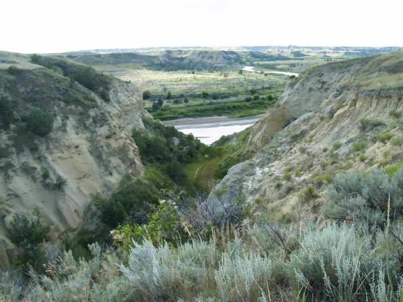 Scenery at Theodore Roosevelt N.P.