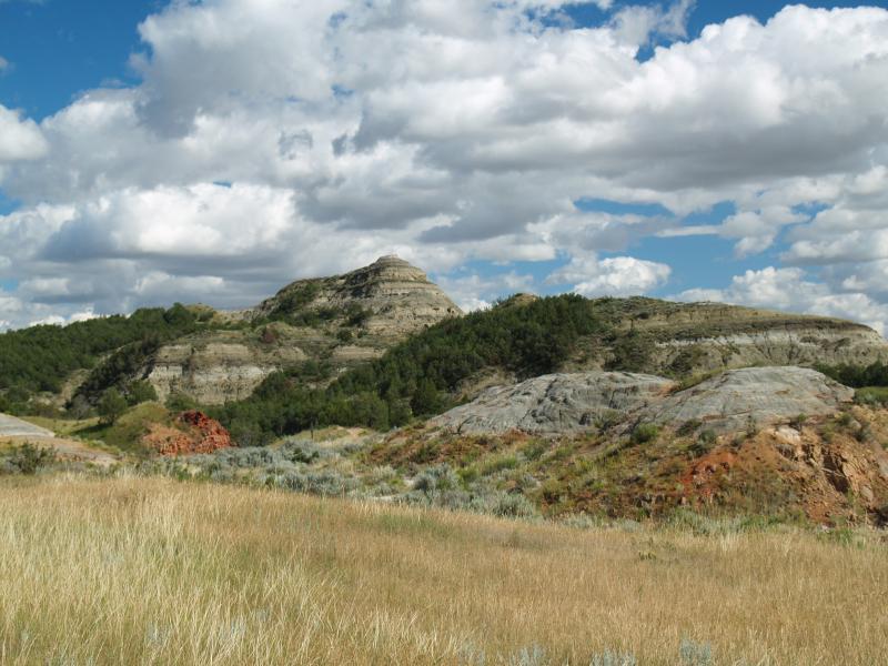 Scenery at Theodore Roosevelt N.P.