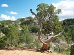 Scenery at Theodore Roosevelt N.P.