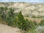 Scenery at Theodore Roosevelt N.P.