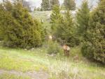 His neighbors