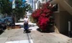 Walking Elsa