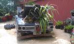 The Edsel flower pot