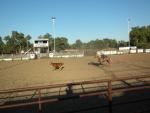 Cowboy practicing behind our RV at Malta City Park ND