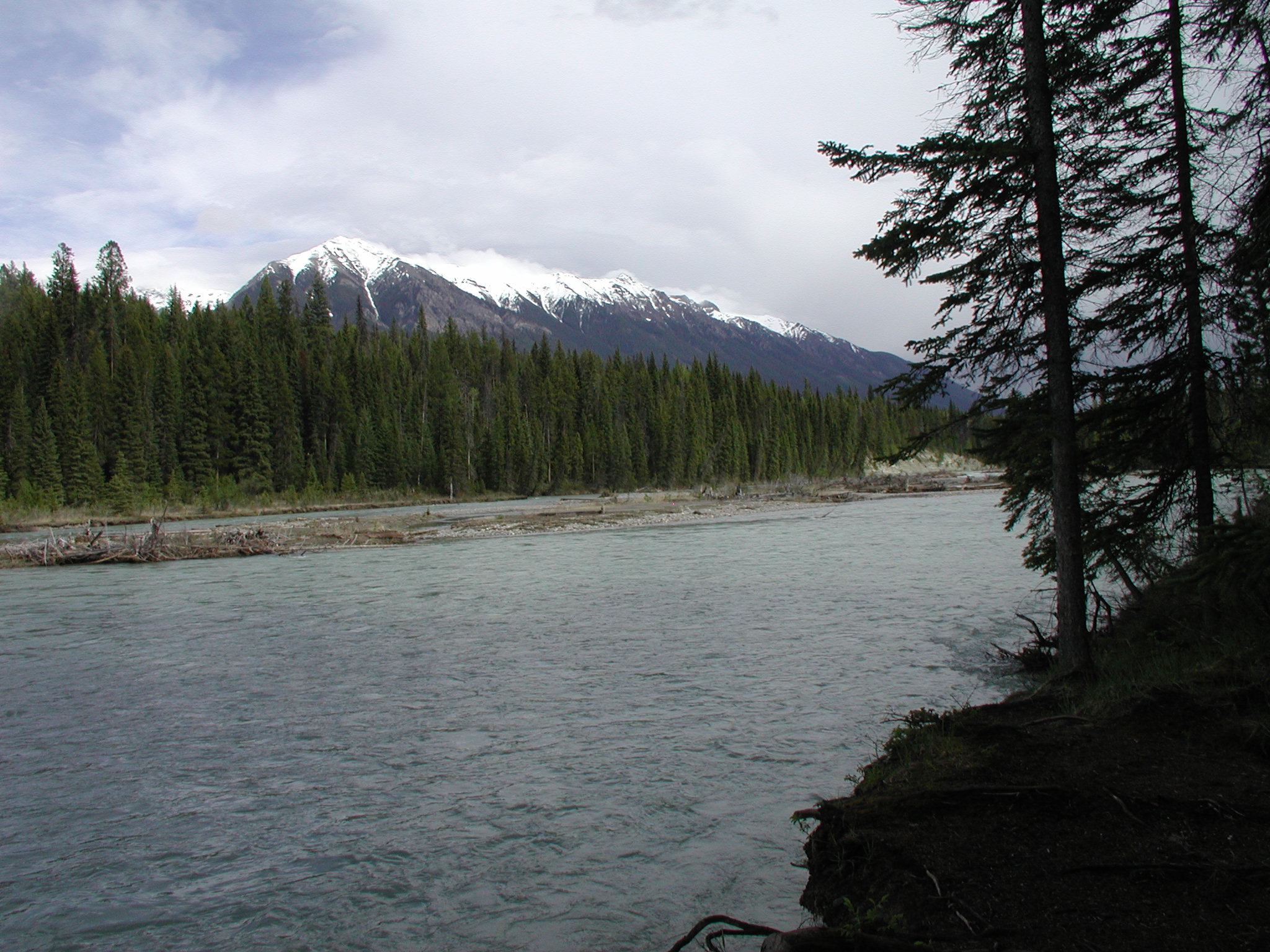 McLeod Meadows CG, Kootenay Nat'l Pk