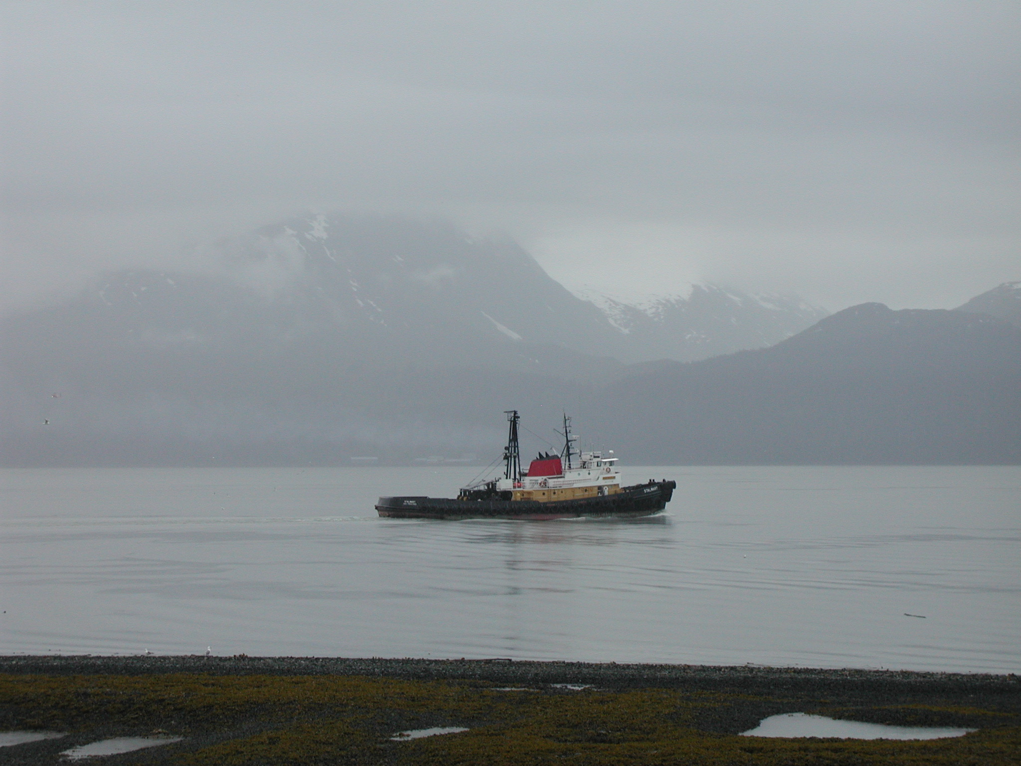 View from Valdez campground