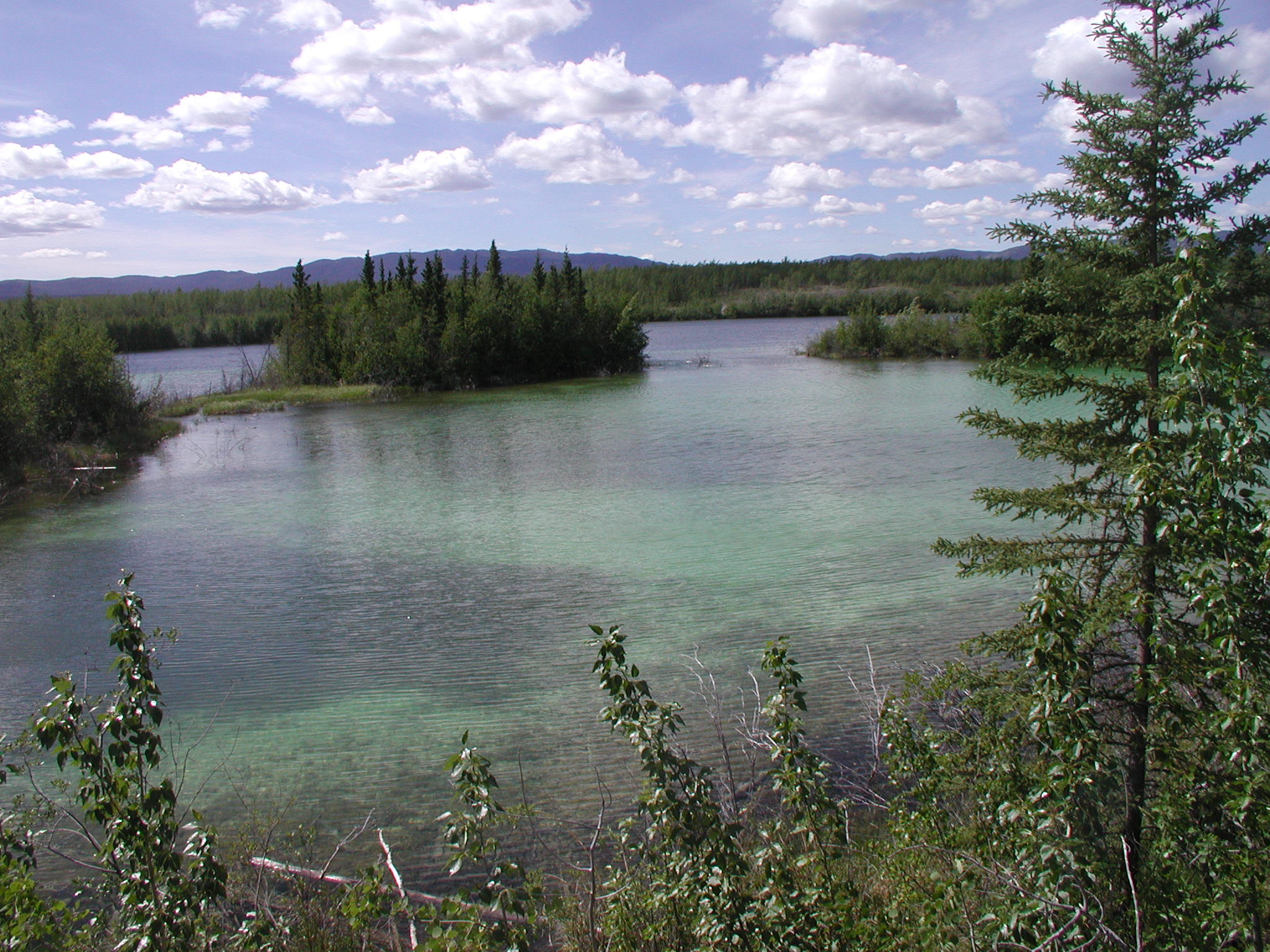 Twin Lakes Campground, Klondike Hwy