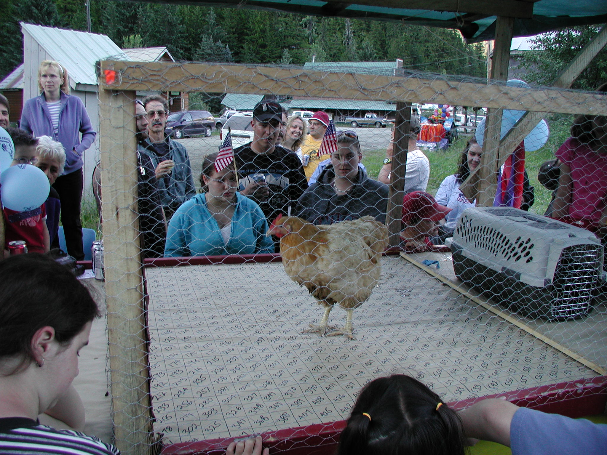 Waiting for the Chicken to pick a winner
